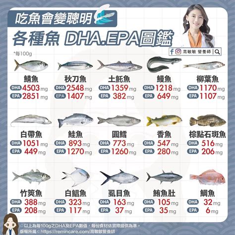 魚排行榜|吃魚補腦、增強保護力！營養師激推「Top10好魚」 魚。